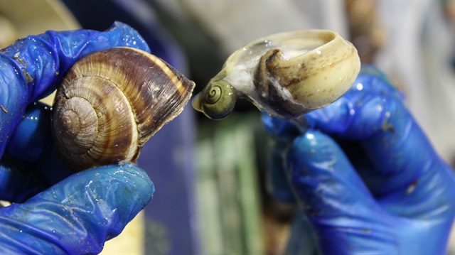 EURO 2016 ihracatını yükseltti