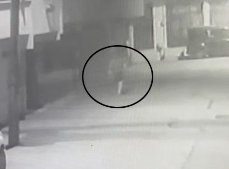 Ev sahibi kadın çetin ceviz çıktı! Hırsız eve girdiğine pişman oldu!