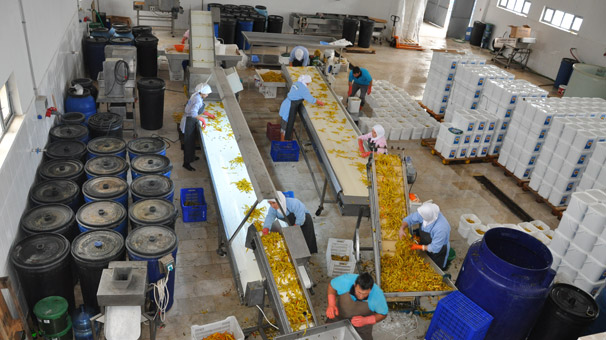 Bir ilçe tamamen oradan geçiniyor!