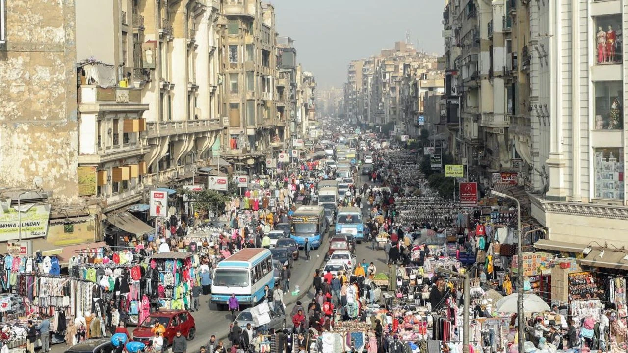 Ev yiyen böcek ülkeye dadandı!