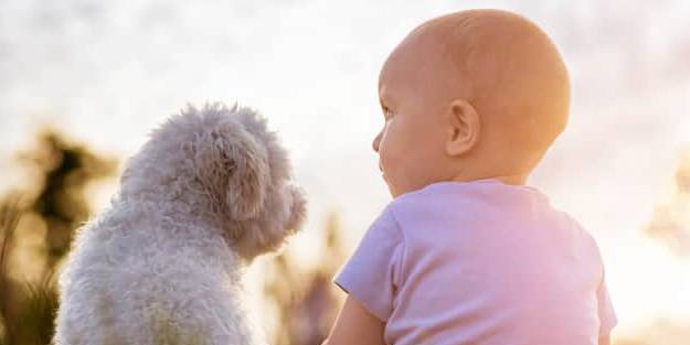Evcil hayvanlar, çocukları olumlu etkiliyor