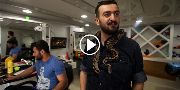 'Evcil piton'uyla kafeye de gidiyor kuaföre de