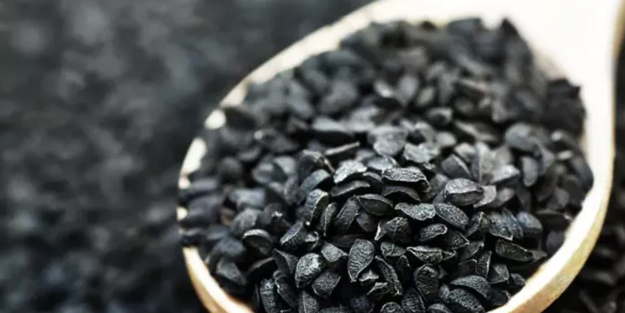 Evde bulunması gereken şifalı bitkiler! Doğal antibiyotik görevi görüyorlar! Şifa kaynağı besinler