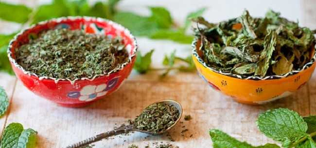 Evde nane nasıl kurutulur?