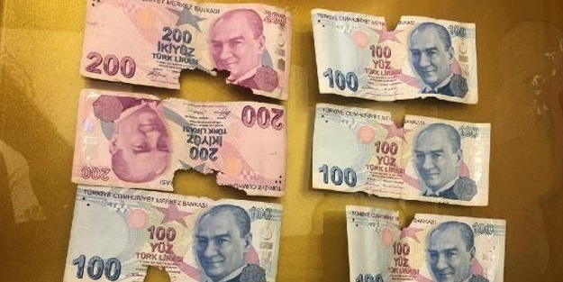 Evde sakladığı paraları fareler yedi!