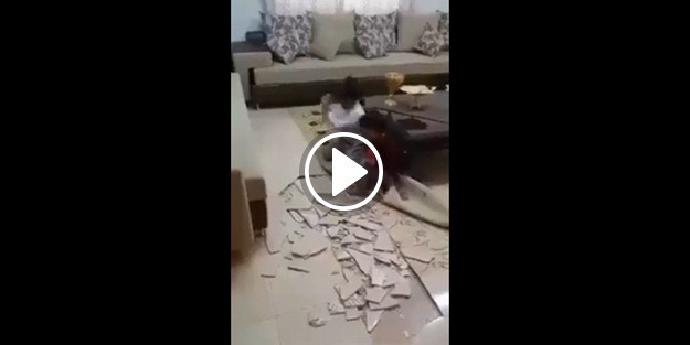 Evde yalnız kalan çocuklar öyle bir şey yaptı ki!