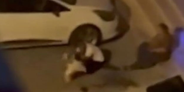 Evden kaçan pitbull dehşet saçtı