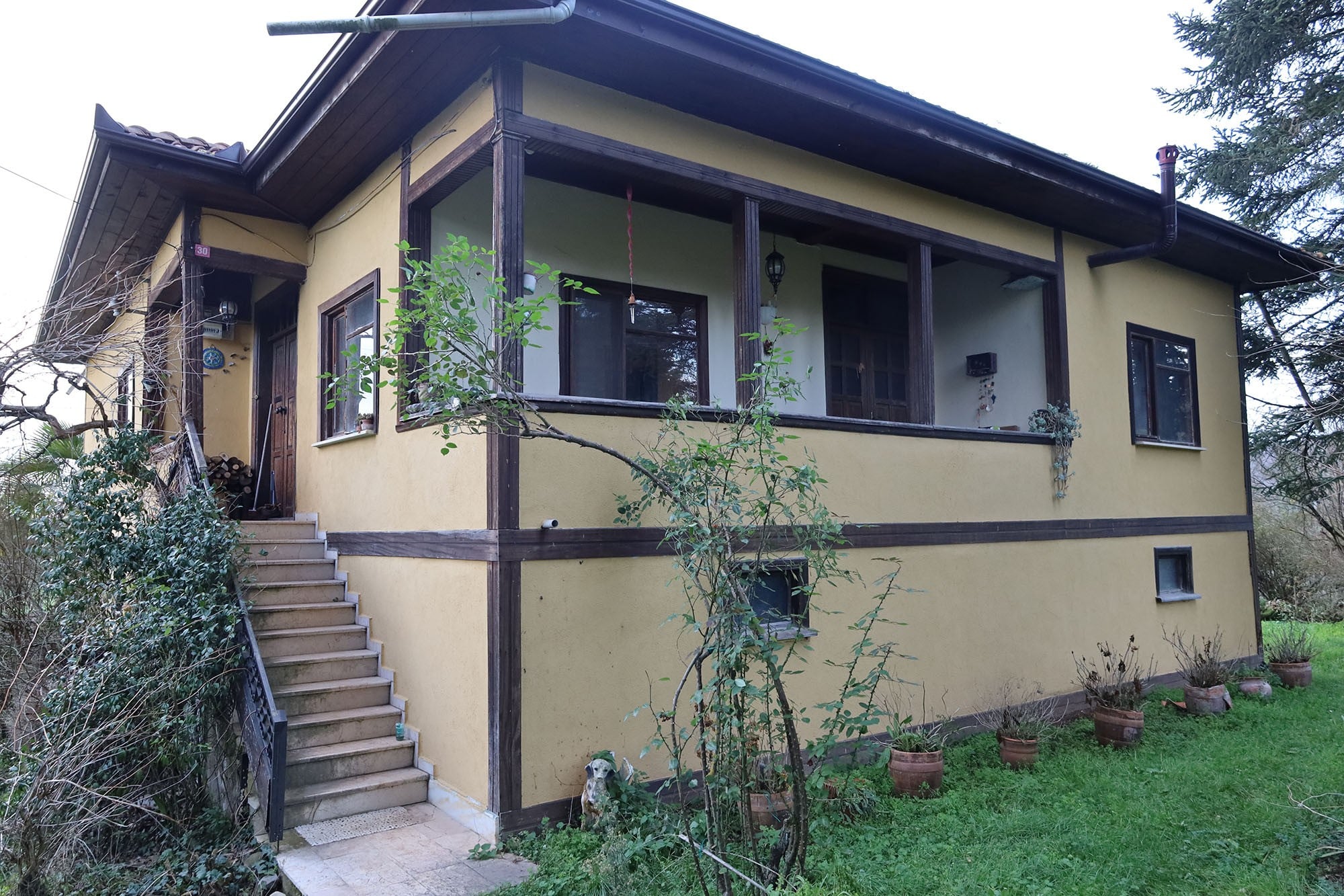 Evi görünce terk etmeyi düşündü: Binlerce kokarcanın istila kabusunu TUTSAK bitirdi