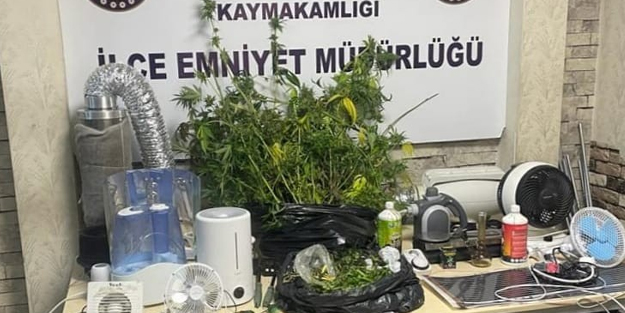 Evi uyuşturucu tarlasına dönüştürdüler