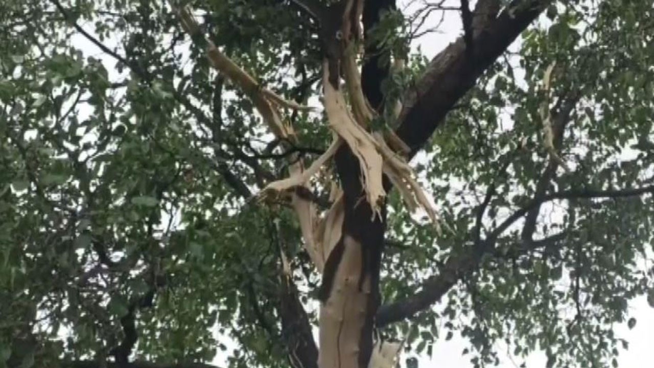 Evin bahçesine düşen yıldırım yürekleri ağza getirdi