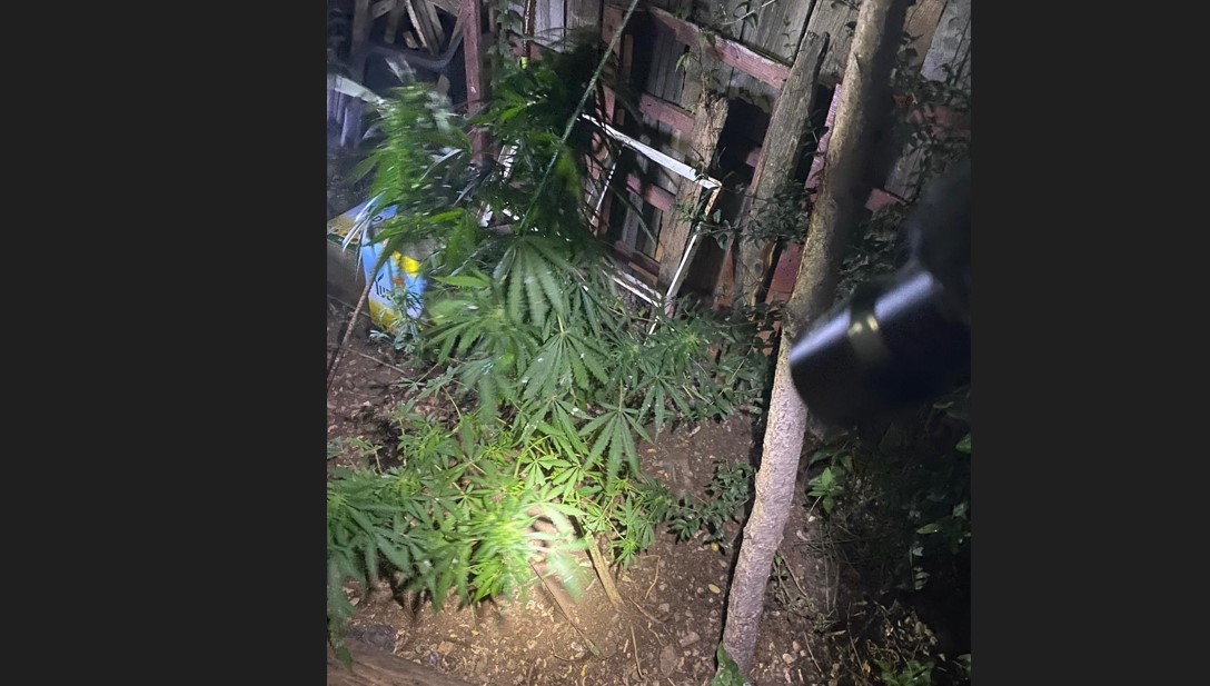 Evin içinde inanılmaz görüntüler! Polisler odaya girdiğinde şaşkına döndü