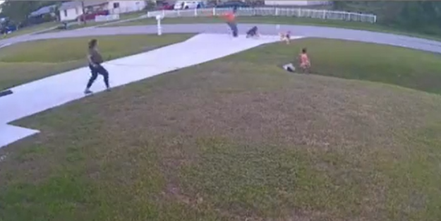 Evin kahraman köpeği küçük çocuğu böyle kurtardı!