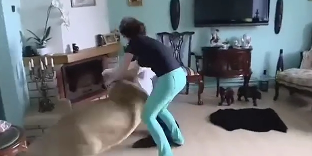 Evinde aslan besleyen ilginç aile!../VİDEO