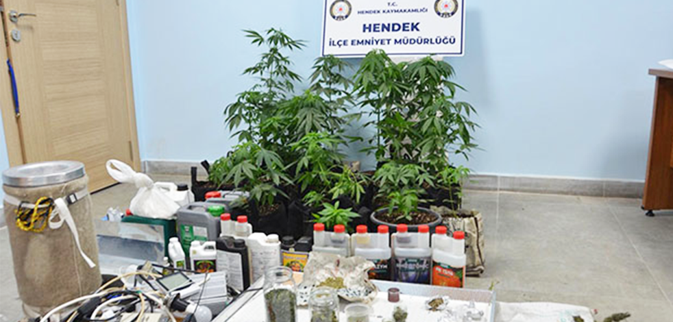 Evinde kurduğu serada GDO’lu kenevir yetiştirmiş