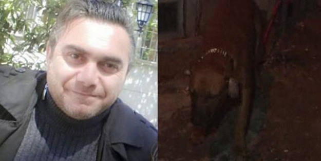 Evinde yüzü parçalanmış halde bulundu