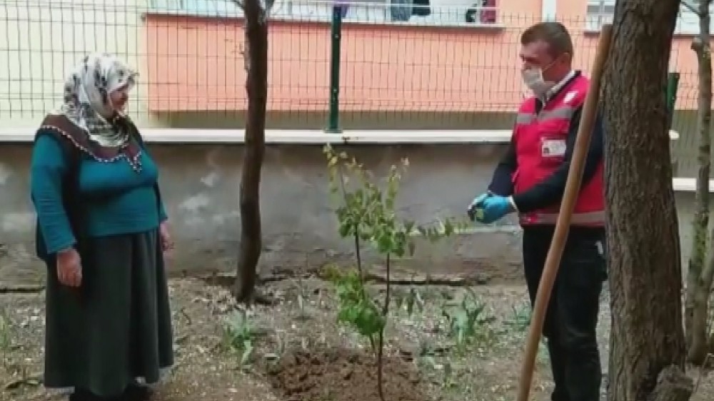 Evinden çıkamayan yaşlı kadın sosyal destek grubundan fidan istedi 