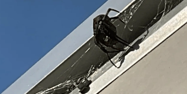 Evinden çıkan adam hayatının şokunu yaşadı