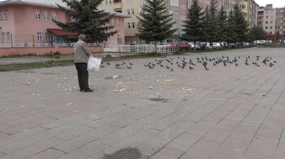 Evine aldığı ekmeği güvercinlere verdi 