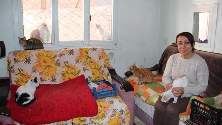 Evini sokak kedilerine tahsis etti!