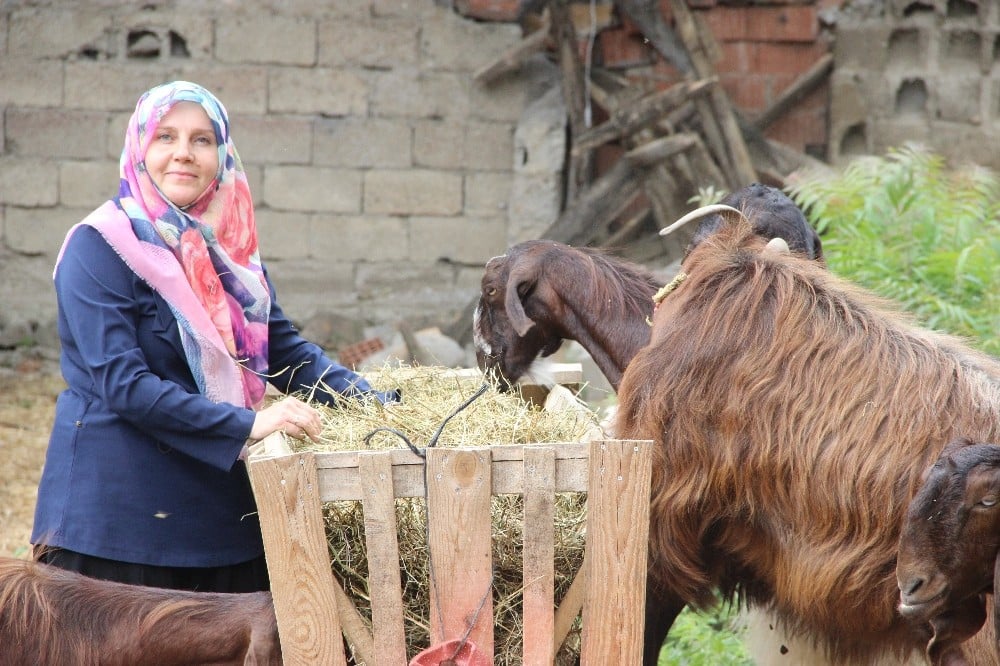 Evinin bahçesinde 17 bin lirayla başladığı işte şimdi siparişlere yetişemiyor 