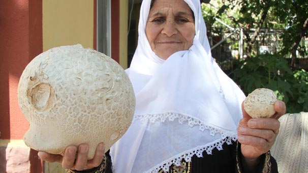 Evinin bahçesinde fark etti, şimdi yanından ayırmıyor!
