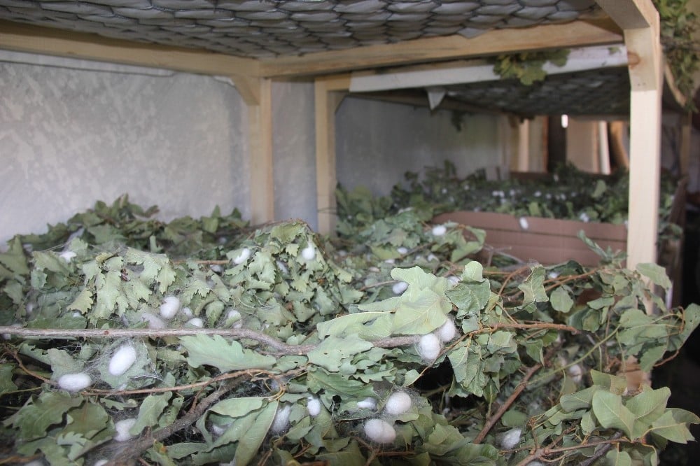 Evinin boş odası 42 günde 3,500 TL kazandırd 