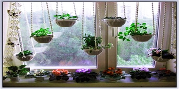 Evinizde çiçekler açsın