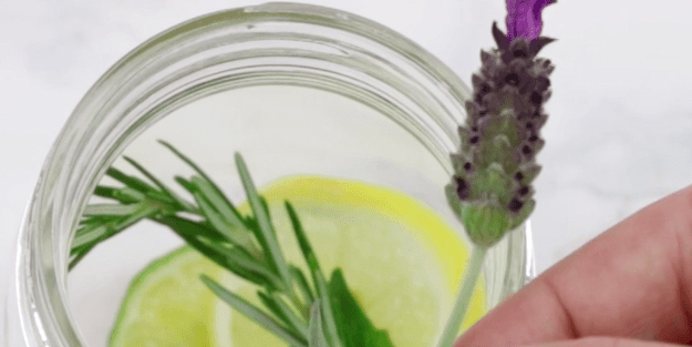 Evinizdeki sineklerden 1 dakikada kurtulun: İlaçlara doğal aday! Sinek paniği yapmayın hızla yok edildi