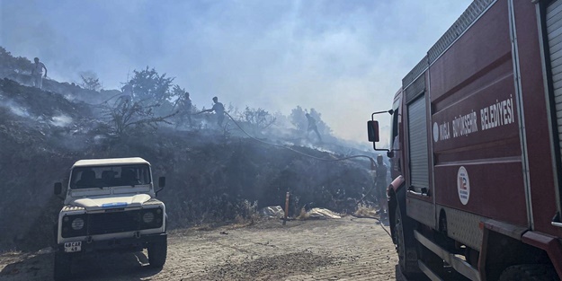 Evlere yaklaşan yangın söndürüldü