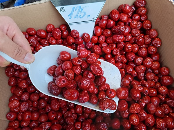 Evlerinizden kesinlikle eksik etmeyin! Faydalarını duyduğunuzda şaşıracaksınız
