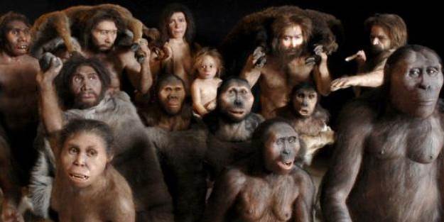 Evrim safsatasına geçit vermeyin