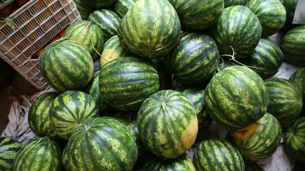 Eylülde en fazla karpuzun fiyatı yükseldi