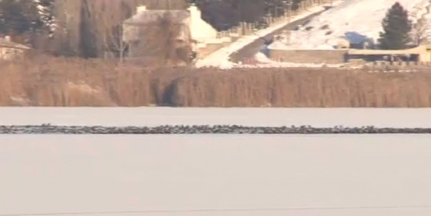 Eymir ve Mogan buz tuttu