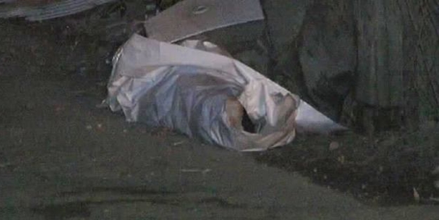 Eyüp'te görenleri dehşete düşüren olay