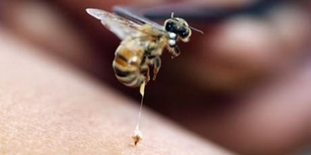 Eyvah! Şimdi bir baş soğana ihtiyaç var!