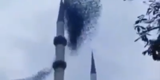 Caminin üstünde tüyleri diken diken eden görüntü
