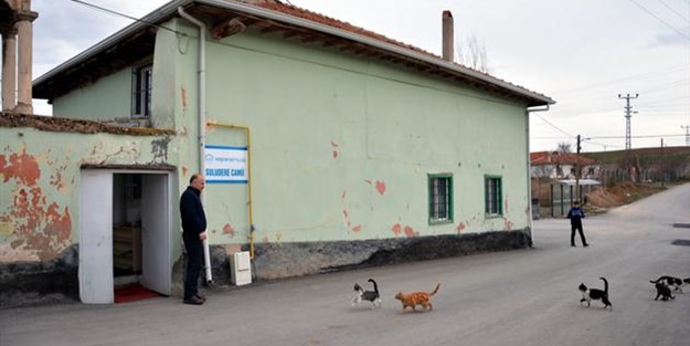 Ezanı duyan kediler camiye koşuyor!