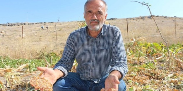 3 bin 500 yıllık vadide bakın ne yaptı...