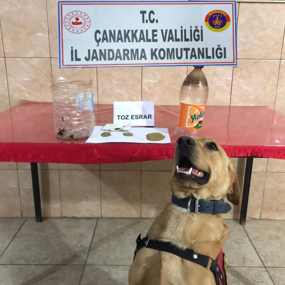 Ezine’de uyuşturucu operasyonu: 2 gözaltı 