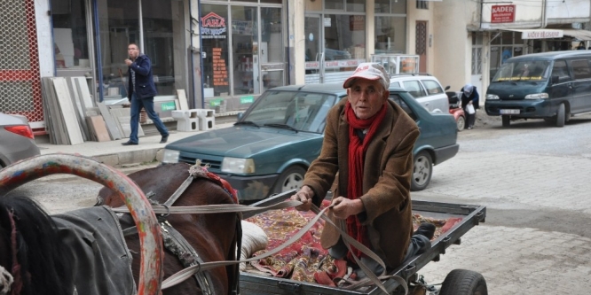 At arabasına kesilen trafik cezasına isyan etti