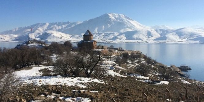 Akdamar Adası’ndaki tavşanlar yeniden toplanacak