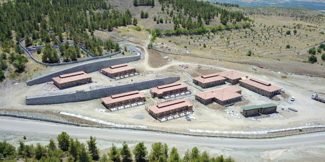 Büyükşehirden sokak hayvanları için doğal yaşam alanı