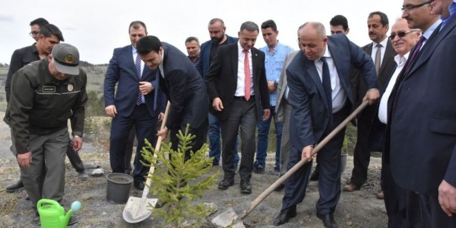 Azdavay’da maden sahaları ağaçlandırılıyor