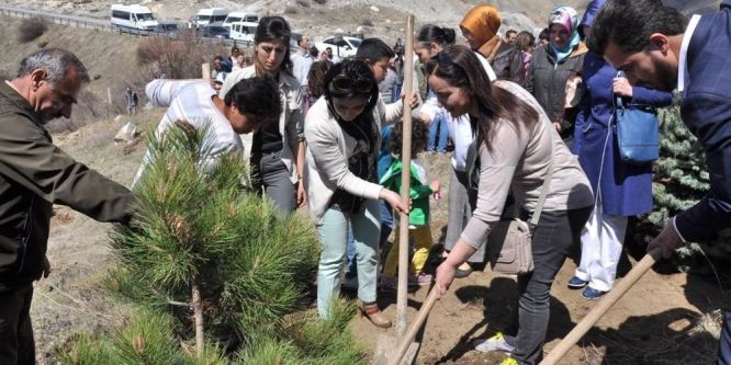 15 Temmuz şehitleri anısına 1500 fidan dikildi