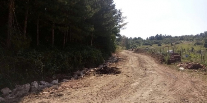 Mezarlıklarda yenileme çalışmaları yapılıyor
