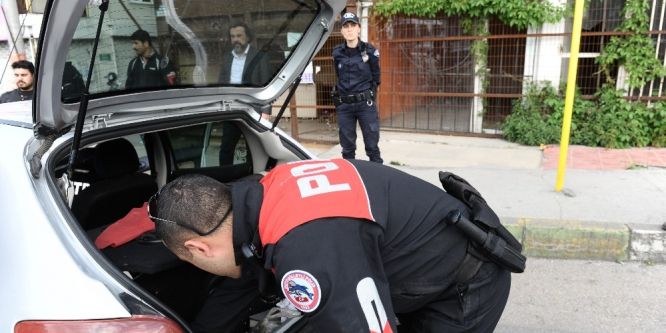 Köprünün altındaki uyuşturucuyu Alfa böyle buldu