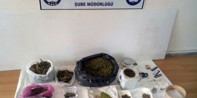 Zehir tacirlerine geçit yok