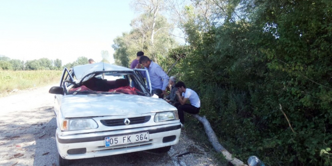 Sinop’ta otomobilin üzerine ağaç düştü: 1 ölü, 2 yaralı