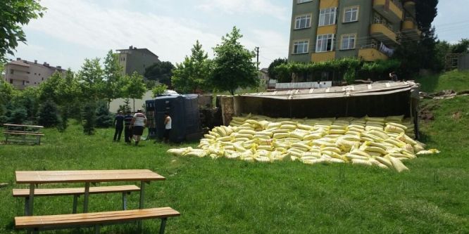 Freni boşalan TIR parka yuvarlandı