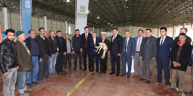 Büyükşehirden hayvancılığa destek